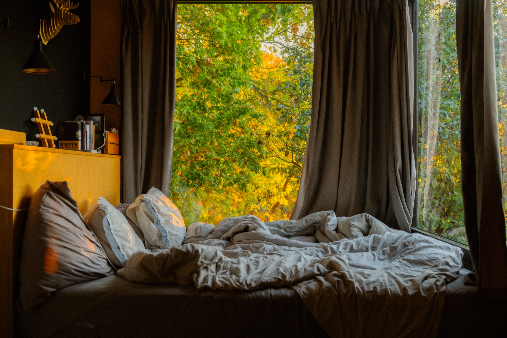 Bed set against a full-height window filled with autumn trees