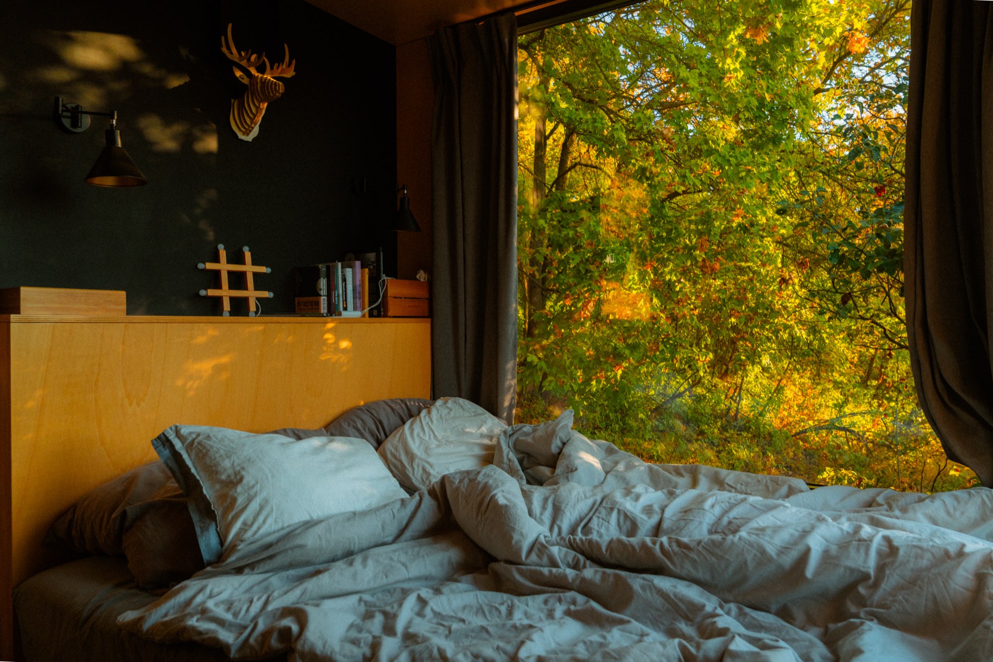Bedroom with a deer mount above the headboard and woodland beyond the glass