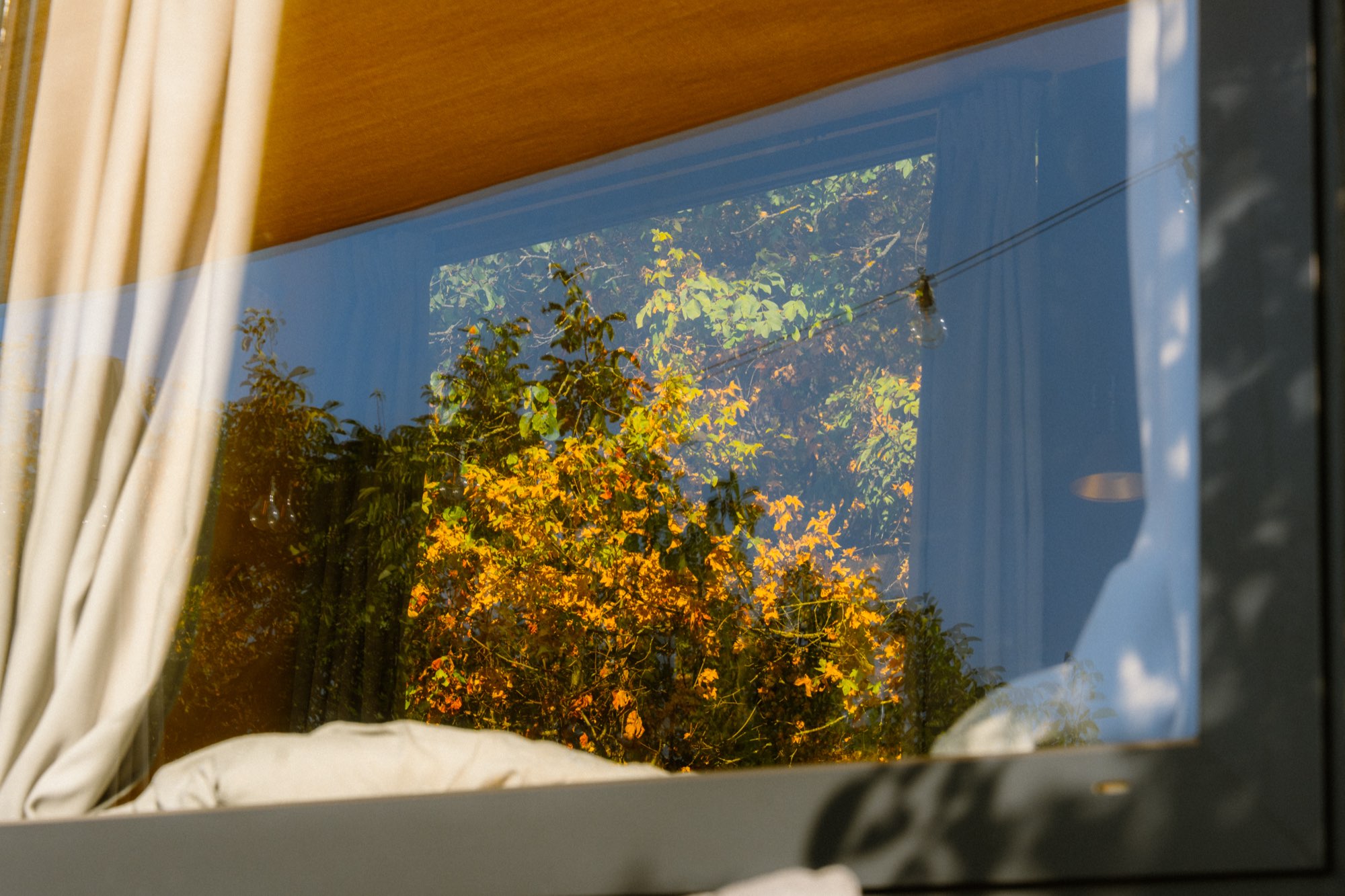 Autumn tree reflected in the cabin window