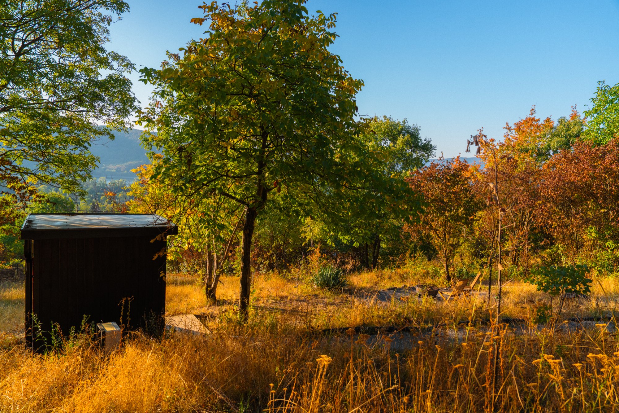 Outbuilding standing in golden grass with autumn trees behind