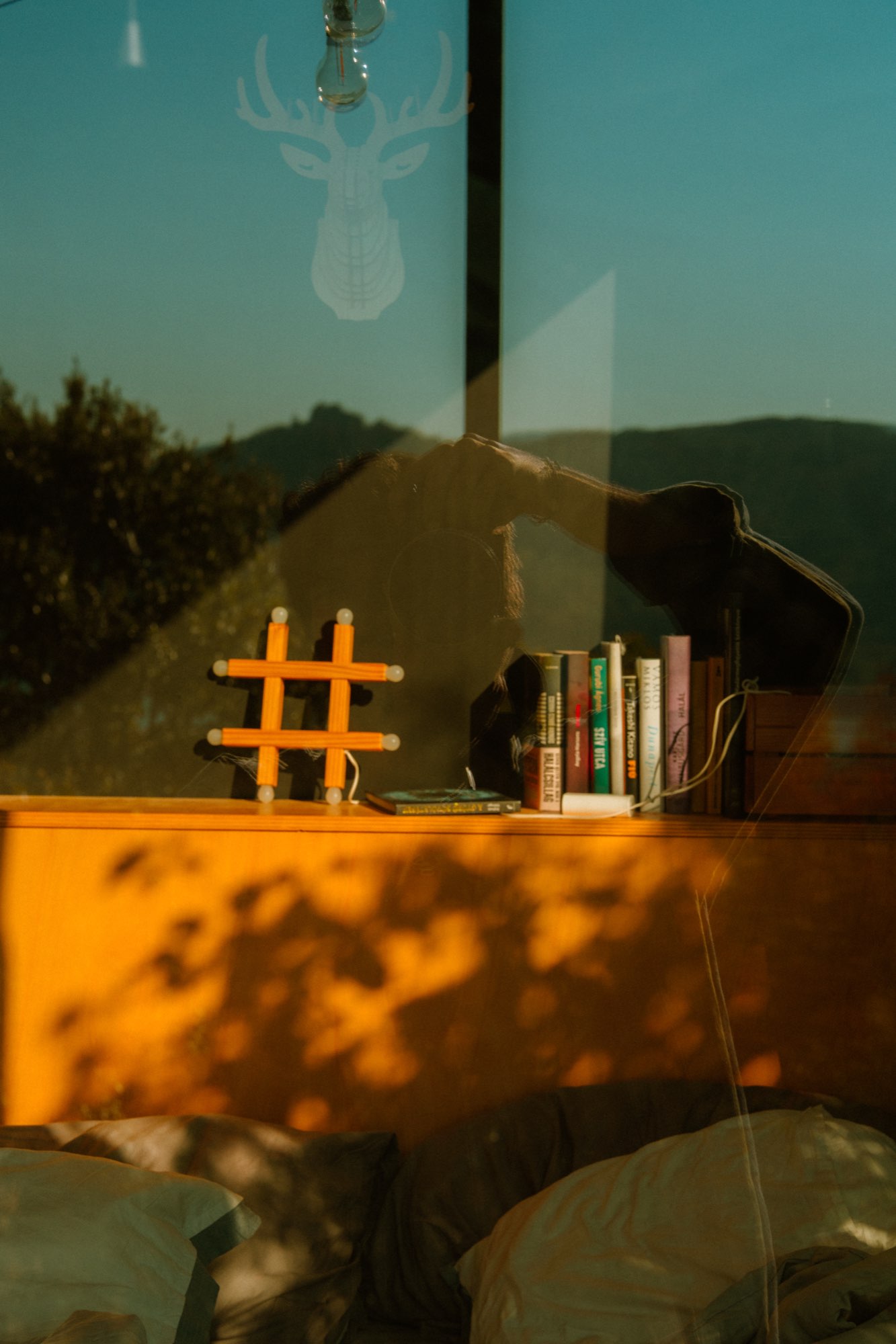 Books and a deer motif on the cabin window