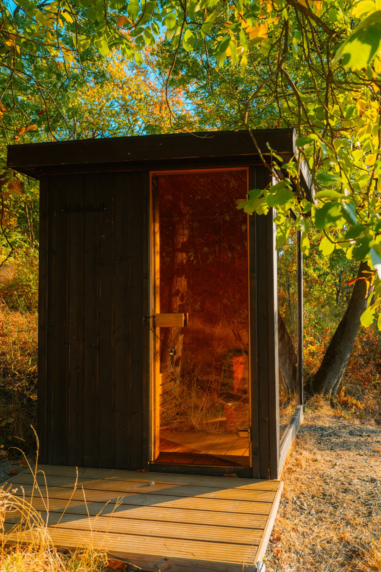 The sauna door open onto warm timber inside