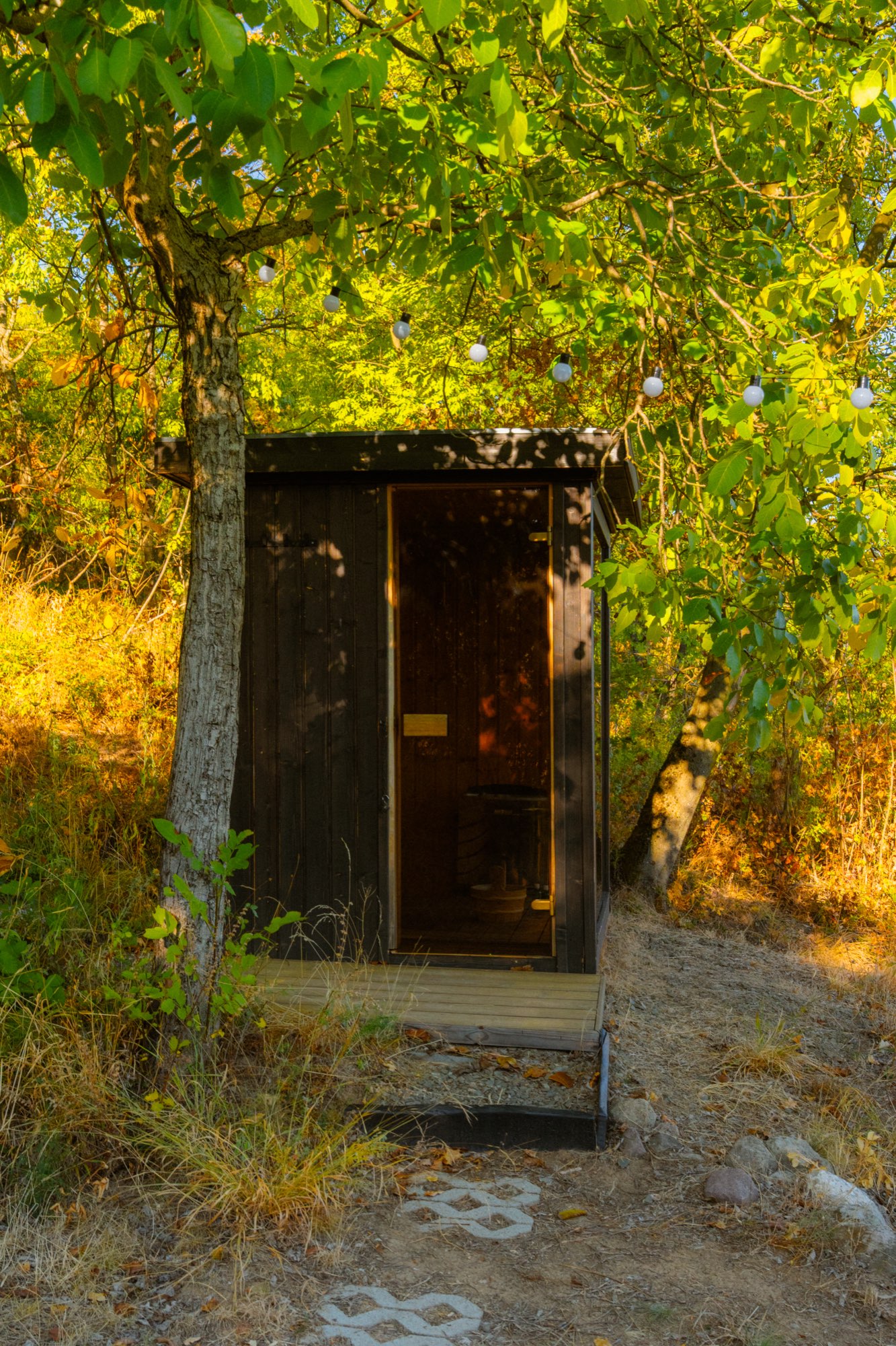 The sauna standing among the trees in late afternoon light
