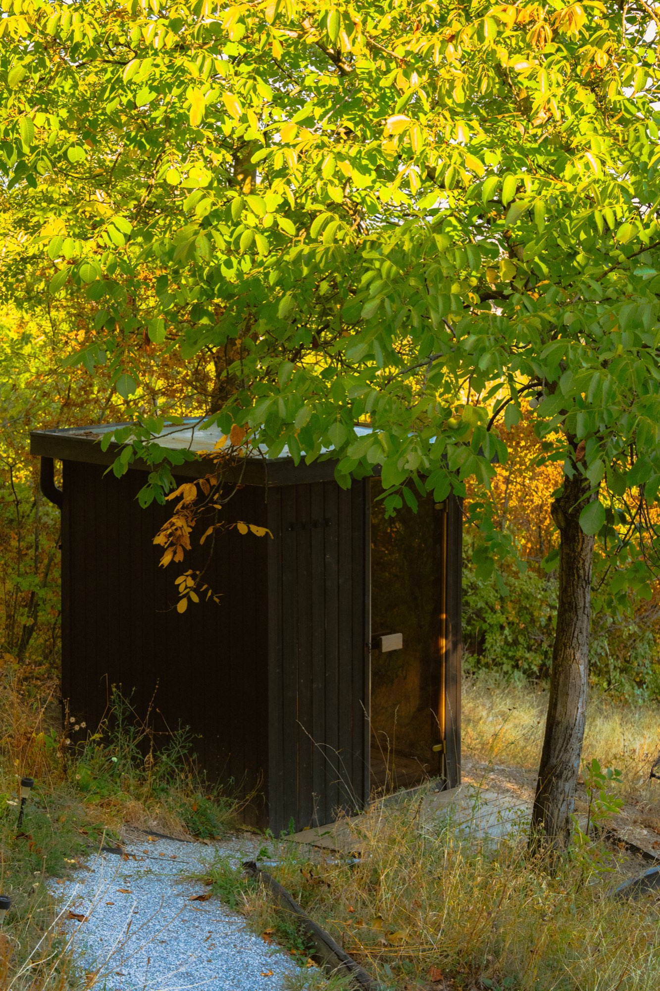 Outbuilding beneath a tree with a path running past