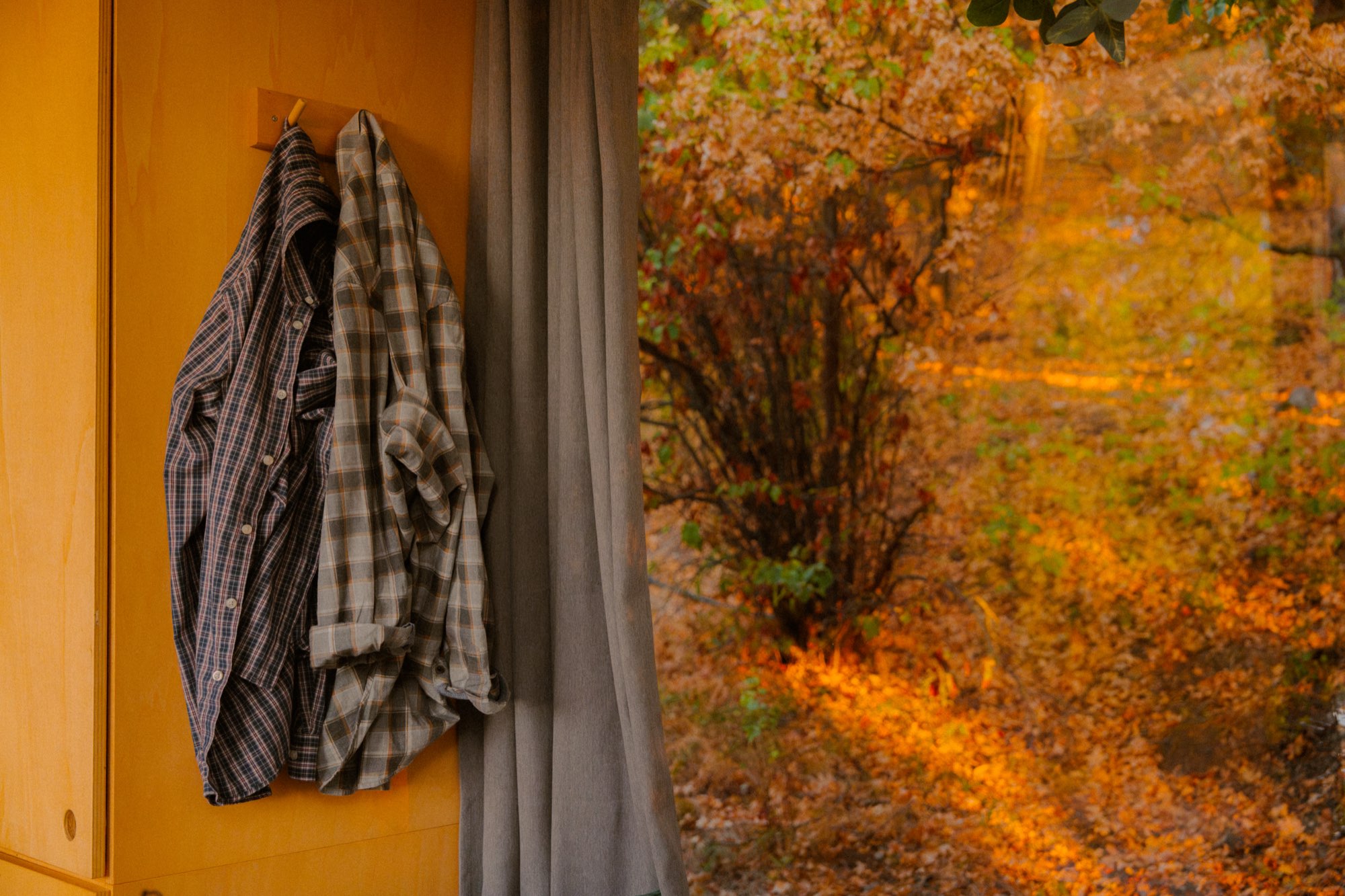 Checked shirts on a peg against the yellow plywood wall, autumn woodland through the window
