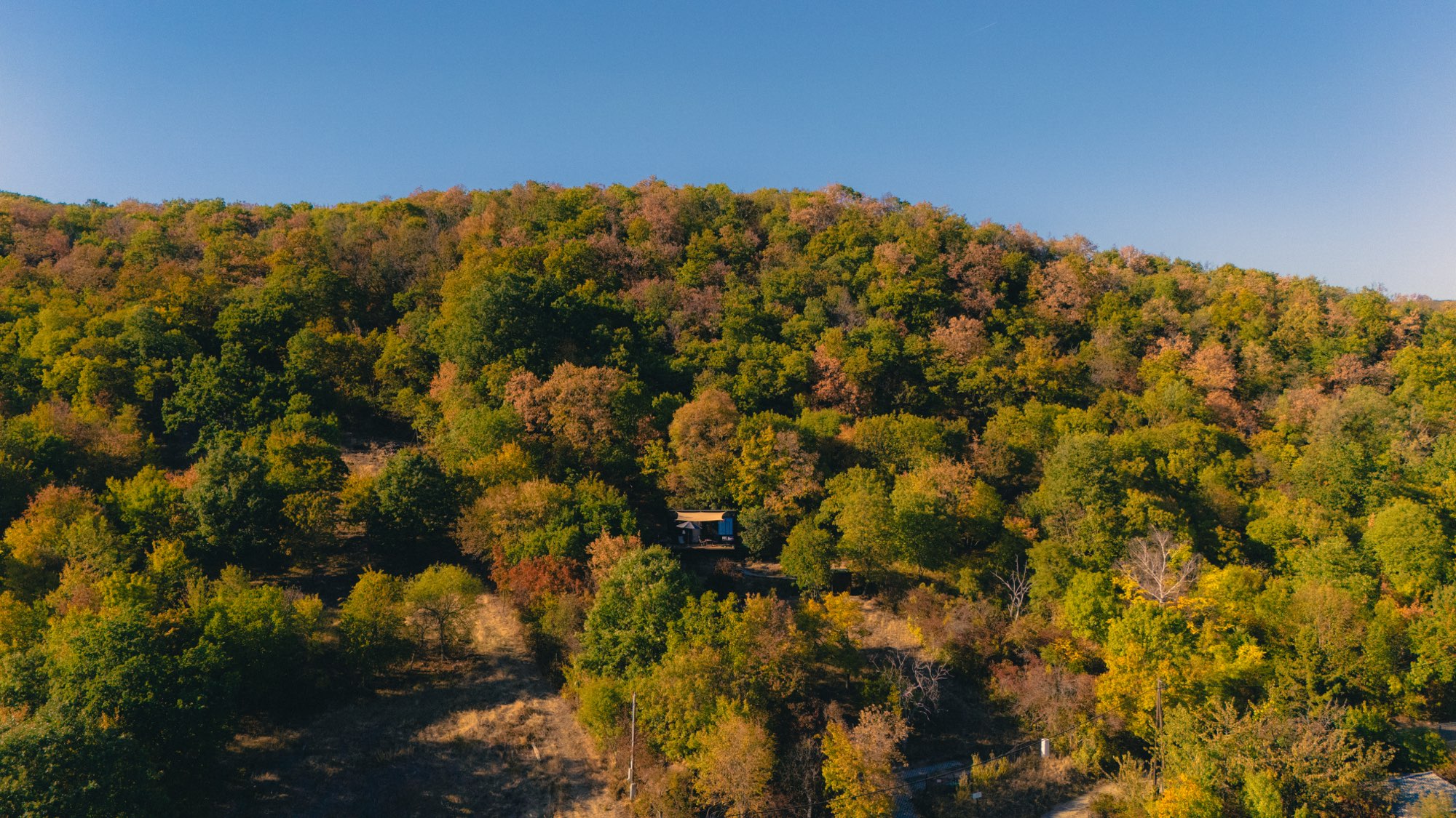 Aerial view of the forested hillside with the cabin small among the trees